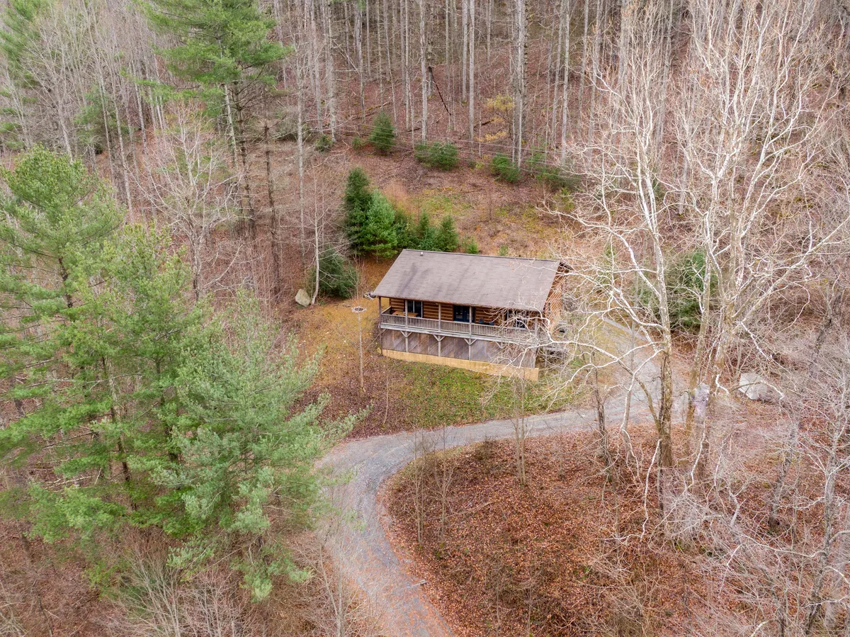 The image features a classic wooden cabin nestled among tall trees with a winding pathway leading up to it. The cabin is surrounded by lush greenery, evoking a sense of privacy and immersion in nature. The scene suggests a welcoming space for families and groups to gather outside, enjoy the porch, or explore the nearby woods.