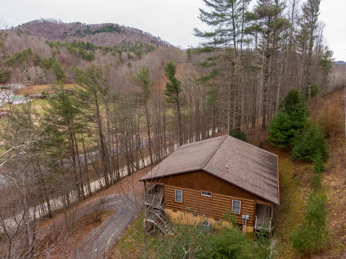 This image features a charming wooden cabin nestled among tall trees, set against a scenic mountain backdrop. The surrounding greenery and tranquil atmosphere evoke a sense of escape and immersion in nature, suggesting immediate access to outdoor adventures for both guests and their dogs.